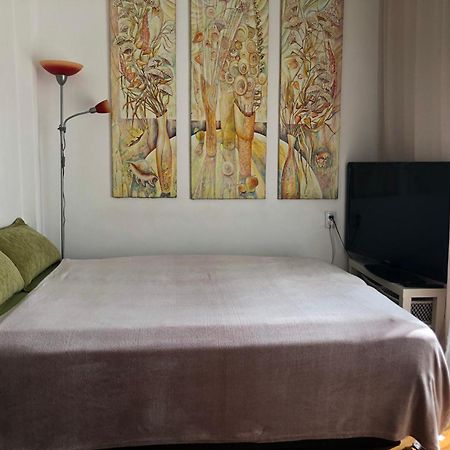 Penthouse Modena Appartement Novi Sad Buitenkant foto