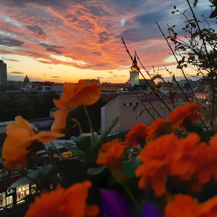 Penthouse Modena Appartement Novi Sad Buitenkant foto