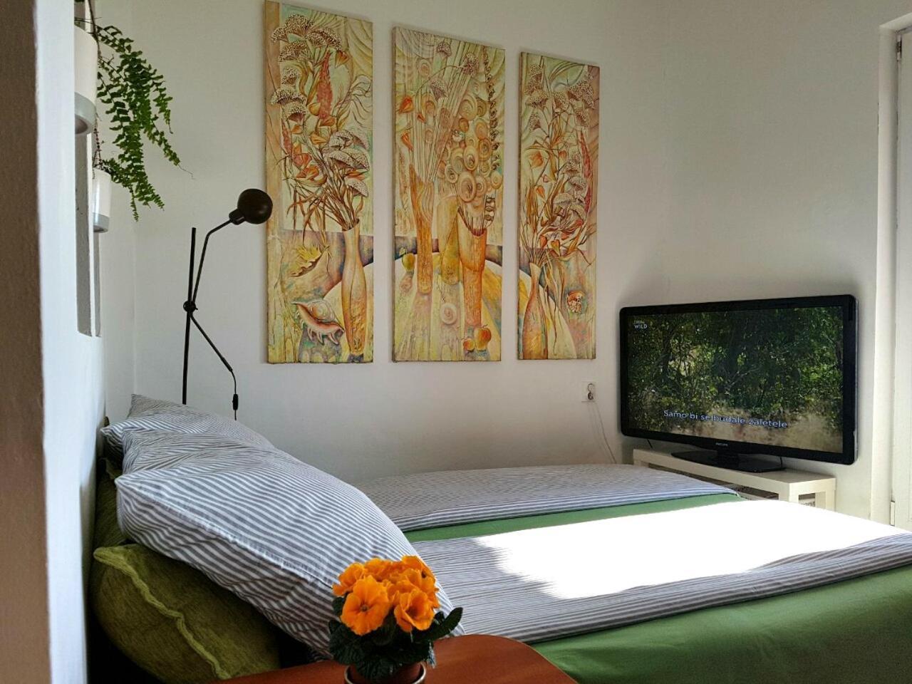 Penthouse Modena Appartement Novi Sad Buitenkant foto
